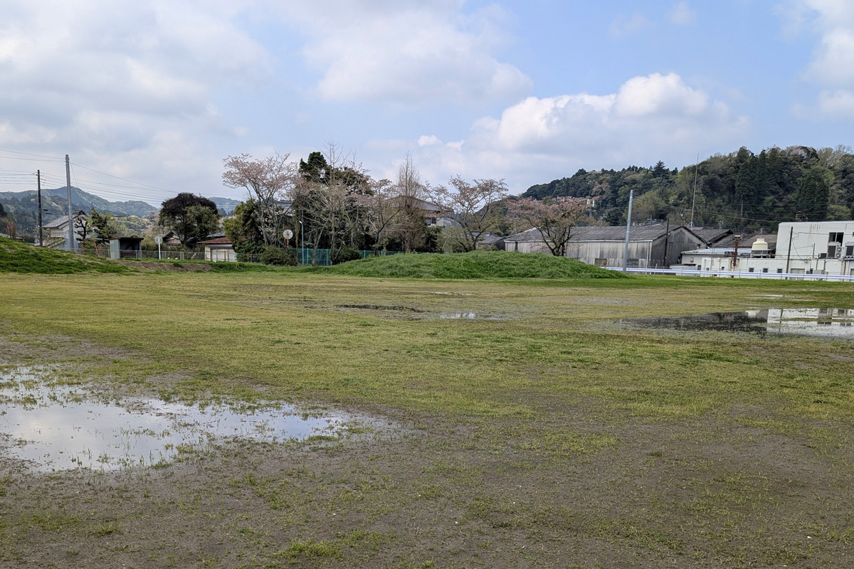 明日の開催は中止になります