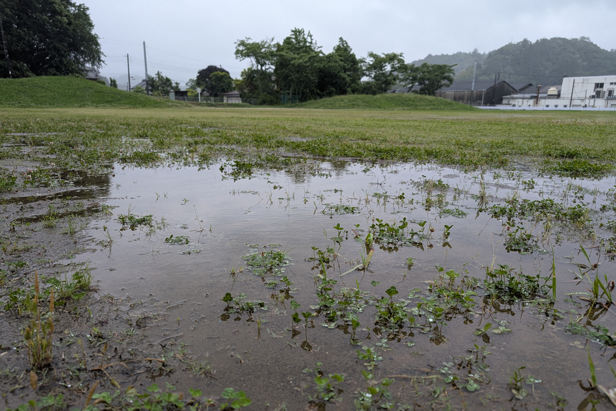 雨にたたられてる・・・6月1日は中止となります